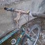 Mens Mountain Bike Image 3
