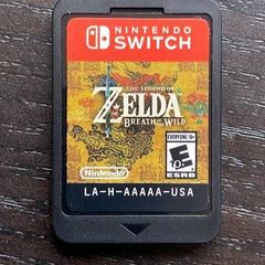 Zelda Botw