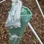 Plastic greenhouse Image 3