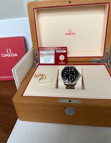 Omega Seamaster Professional