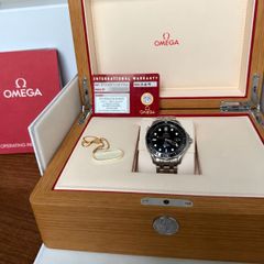 Omega Seamaster Professional