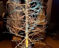 White Twig fibre optic Christmas Tree.