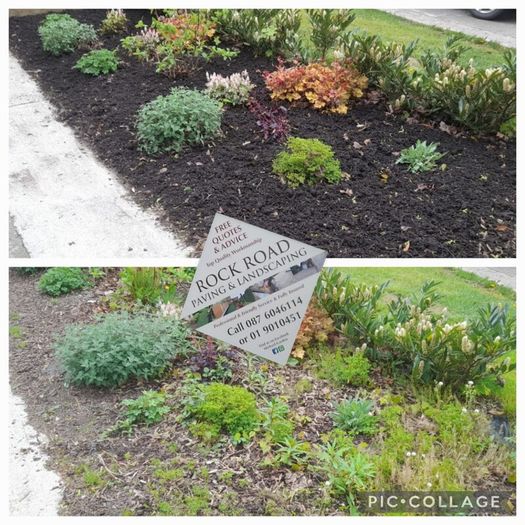 Garden maintenance