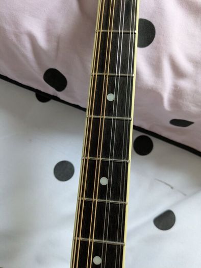 Bouzouki  By  Ashbury