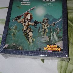Warhammer Eldar (NOT aeldari blergh!)