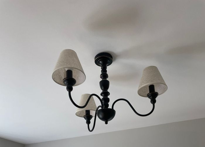 Two Black Ceiling Lights available