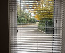 Venetian blinds