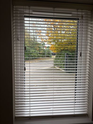 Venetian blinds