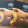 The Complete Pirelli Calendar Book.- Reduced Image 2