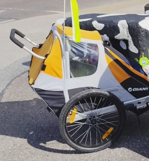Bike Trailer - Giant Peapod Double
