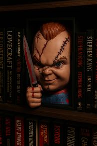 Chucky Book Nook - Horror Bookshelf Insert - Hand Painted Resin Figure