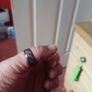 PAin Free Ring size 11 Image 3