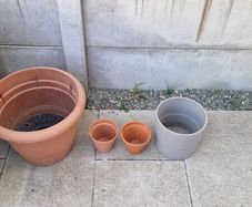 Plant pots