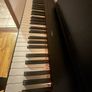 Yamaha P-225B 2025 Model Image 3