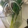 ShabbyChic Heavy Glass Bag Vase with Flowers Image 4
