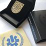 Destiny 2 - MMXIV seal pin. Rare and Retired Image 3