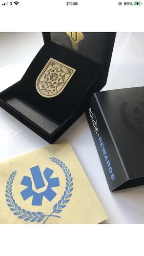 Destiny 2 - MMXIV seal pin. Rare and Retired