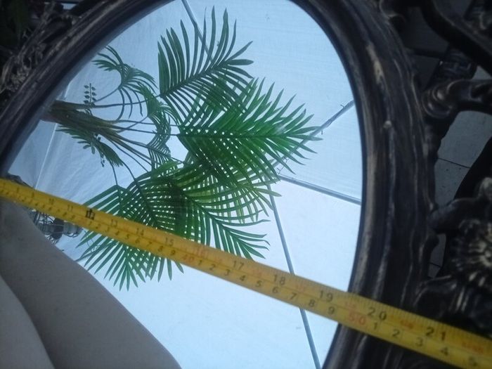 Elegant Mirror
