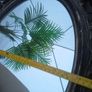 Elegant Mirror Image 2