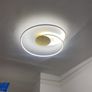 Ceiling Light Image 2