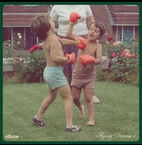 Elbow Flying dream lp