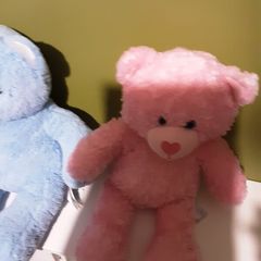 3 build a bear teddies can be sold separately