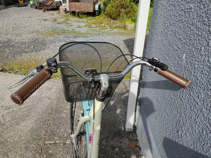 Jupiter Elegance ladies bike