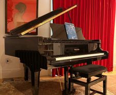 Ritmller Baby Grand Piano