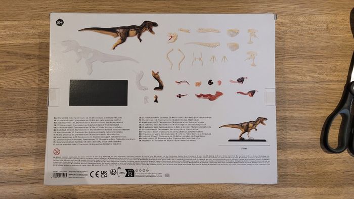 Flying Tiger 3D anatomy model Dinosaur