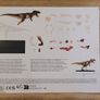 Flying Tiger 3D anatomy model Dinosaur Image 2