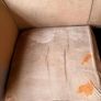 Free Sofa Image 6