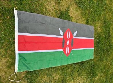 Large Kenyan flag