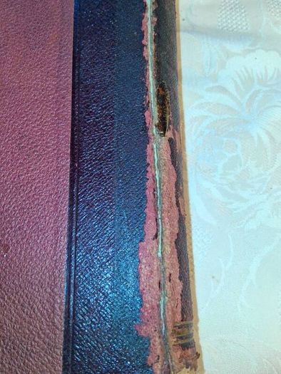Victorian Newspaper Extract Cuttings Ledger