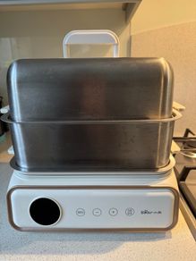 Electric Steamer