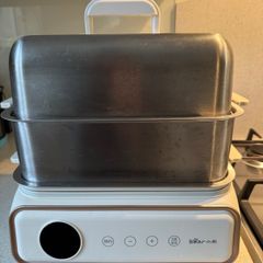 Electric Steamer