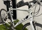 Giant Rapid SL