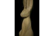 Woody Hare EG020