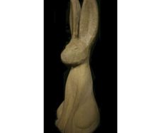 Woody Hare EG020