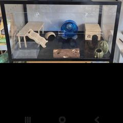 Hamster cages and lots of accessories