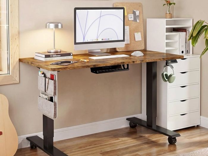 Electric Height Adjustable Standing Desk, 100x60cm Sit Stand Desk with Cable Tray, Hook and Storage Pocketse, Stand Up Desk with Memory Controller for Home Office
