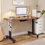 Electric Height Adjustable Standing Desk, 100x60cm Sit Stand Desk with Cable Tray, Hook and Storage Pocketse, Stand Up Desk with Memory Controller for Home Office Image 8