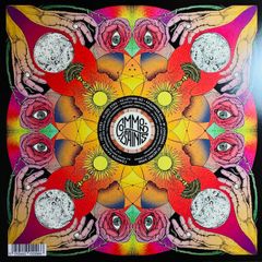 Common Saints: Idol Eyes 12" EP, Limited Edition