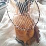 native American Indian Image 9