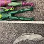 toys Image 2