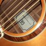 PRS SE Angelus Standard Acoustic Image 3