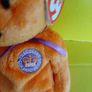 New Queen golden jubilee beanie bear Image 5