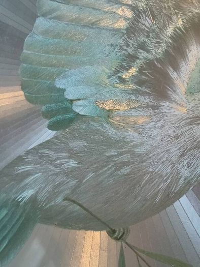 Vintage Large Dove Of Peace Mirror