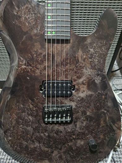 Kiesel Solo-6 Custom Burl Maple Top - Transparent Black