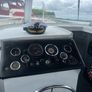 Broom skipper 30 Image 7
