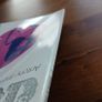 Anhoni Antony and the Johnsons Turning 7" vinyl 2006 with accompanying brochure. Image 8